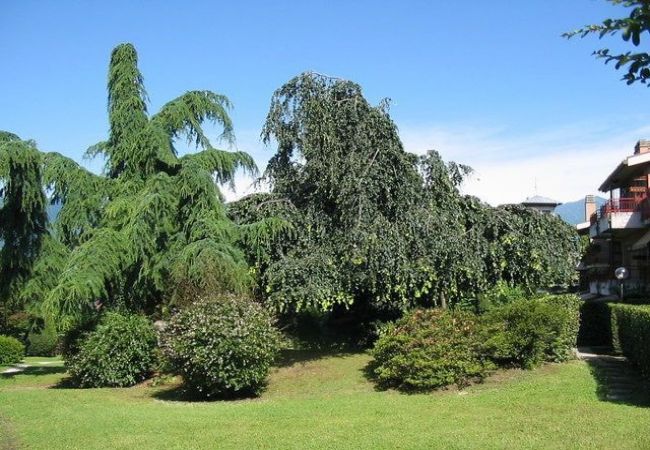 Ferienwohnung in Luino - Cordelia 6 with lake view, balcony and pool Ferienwohnung in Luino - Cordelia 6 with lake view, balcony and pool