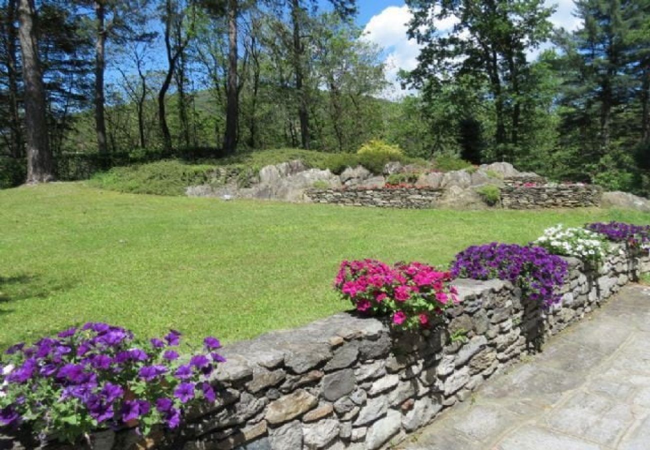 Villa in Luino - Villa Violetta in Luino with pool and garden