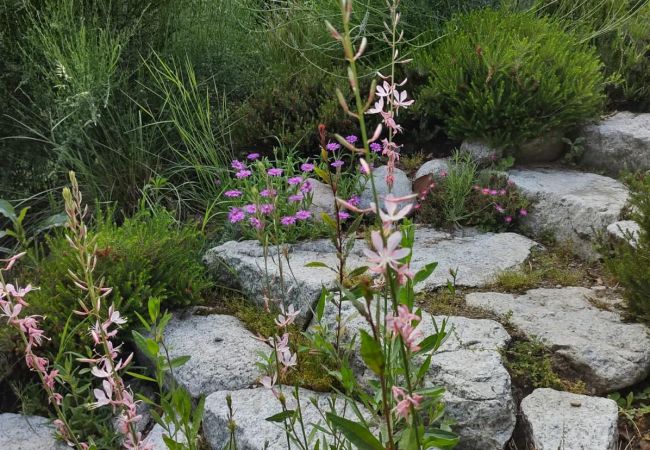 Ferienwohnung in Verbania - Ines apartment in villa with garden and small pool Ferienwohnung in Verbania - Ines apartment in villa with garden and small pool