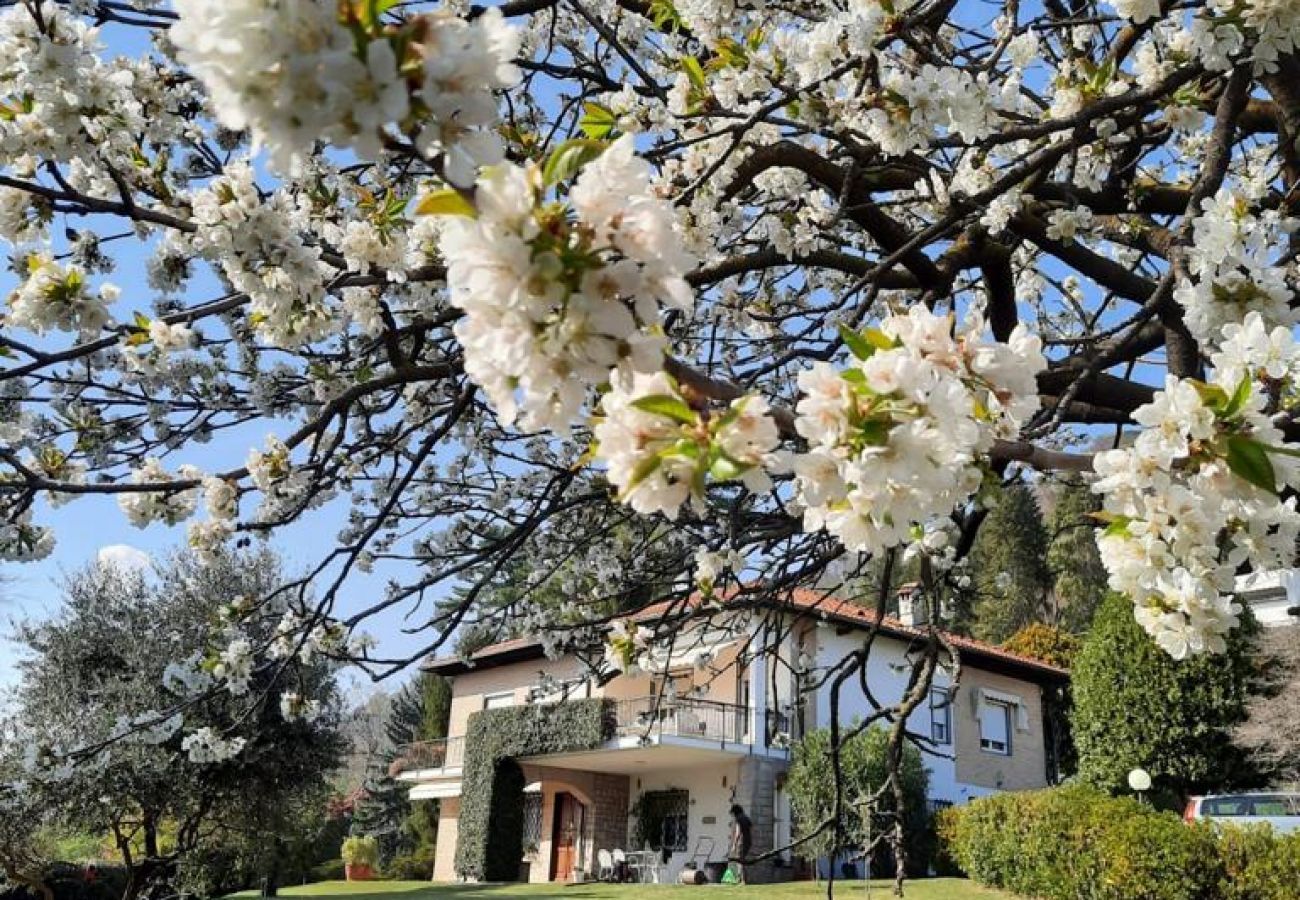 Ferienwohnung in Verbania - Ines apartment in villa with garden and small pool