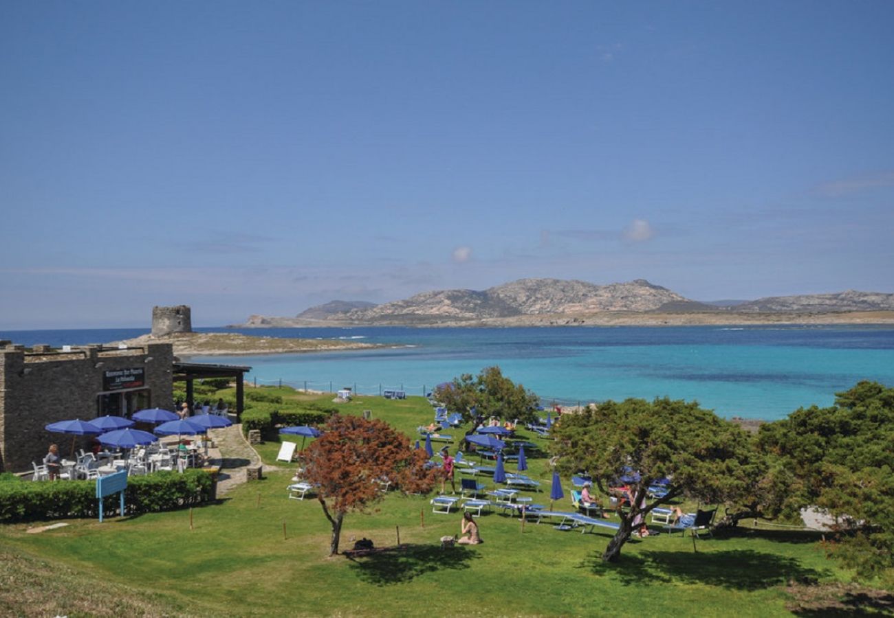 Villa in Stintino - Eduard Villa in residence in Sardinia with pool