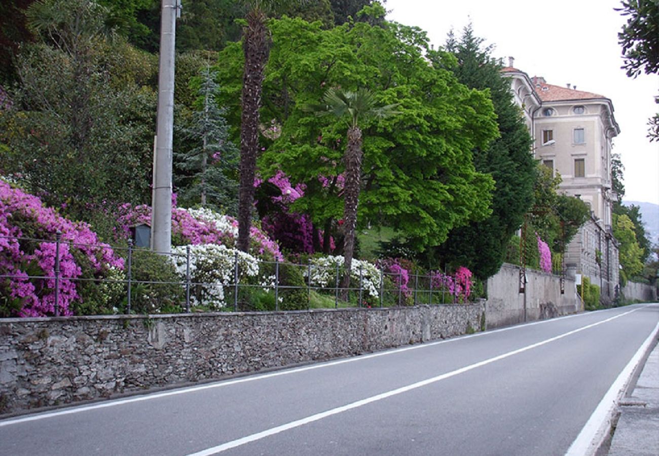 Ferienwohnung in Oggebbio - Gardenia apartment in Oggebbio with lake view