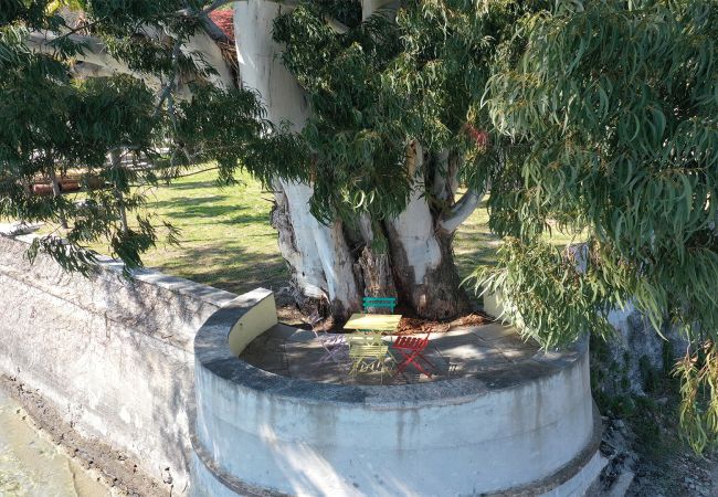 Villa in Ghiffa - Fiorina charming villa with private beach Villa in Ghiffa - Fiorina charming villa with private beach