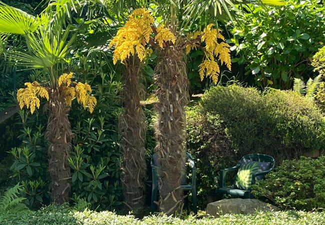 Ferienwohnung in Stresa - Miralago apartment with amazing lake view in Stres Ferienwohnung in Stresa - Miralago apartment with amazing lake view in Stres