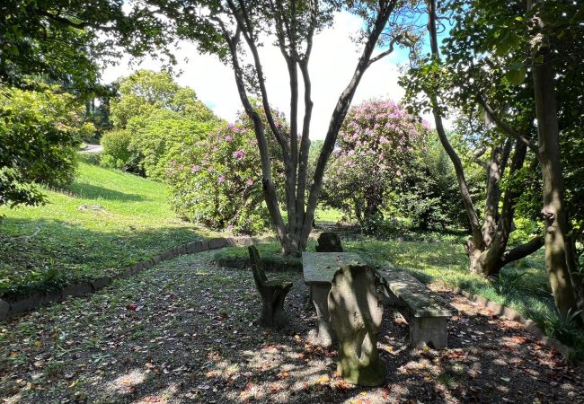 Ferienwohnung in Stresa - Camelia modern apartment with lake view Ferienwohnung in Stresa - Camelia modern apartment with lake view