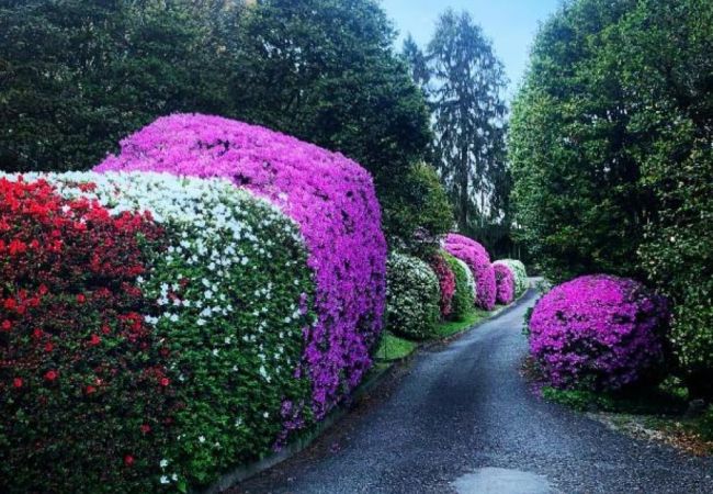 Ferienwohnung in Stresa - Camelia modern apartment with lake view Ferienwohnung in Stresa - Camelia modern apartment with lake view