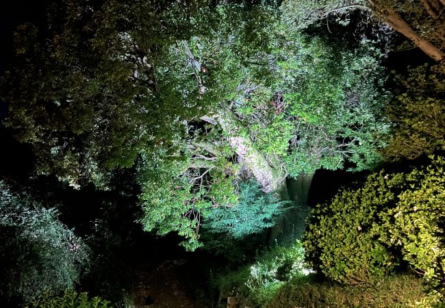 Villa in Ghiffa - Serra Boutique Villa & Spa with great  lake view Villa in Ghiffa - Serra Boutique Villa & Spa with great  lake view