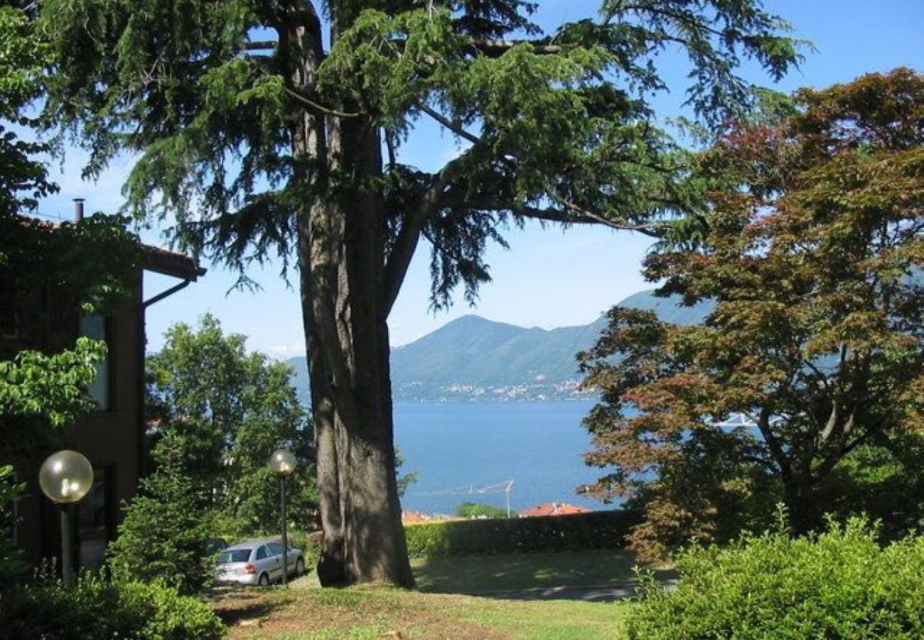 Ferienwohnung in Luino - Cordelia 9 Apartment with pool in Luino