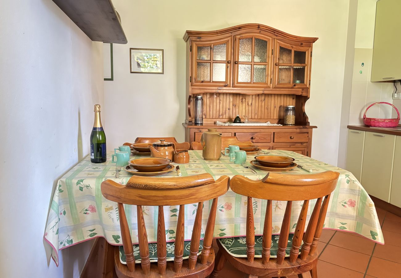 Ferienwohnung in Luino - Esther 2 apartment with balcony in Luino