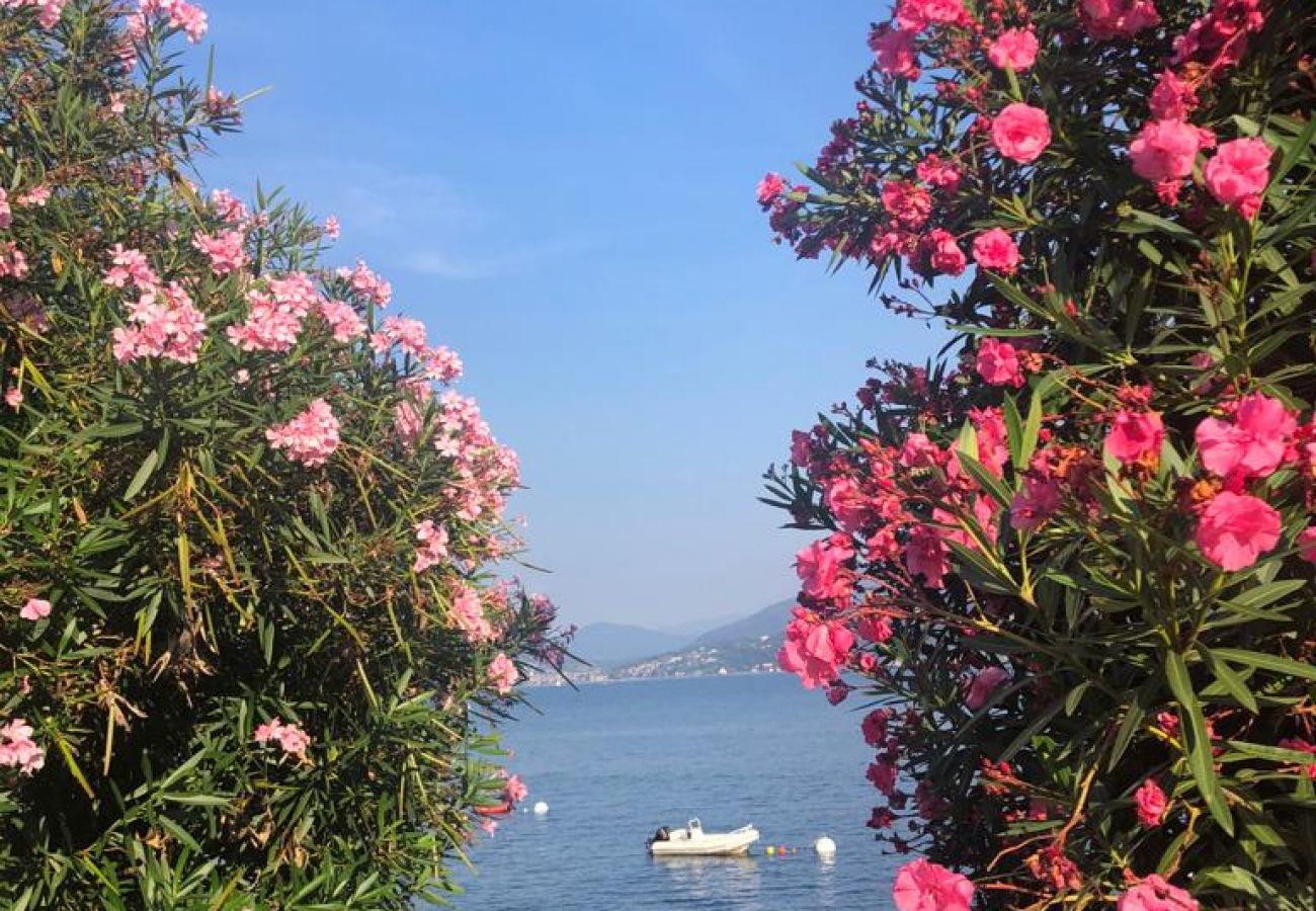 Appartement à Oggebbio - Gioia apartment with lake view and pool