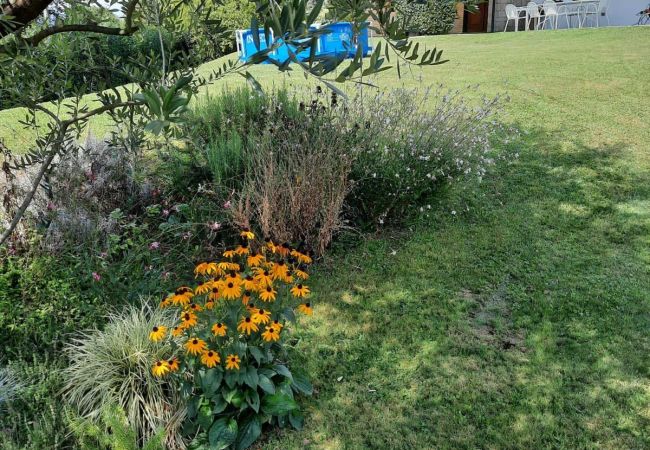 Appartement à Verbania - Ines apartment in villa with garden and small pool Appartement à Verbania - Ines apartment in villa with garden and small pool