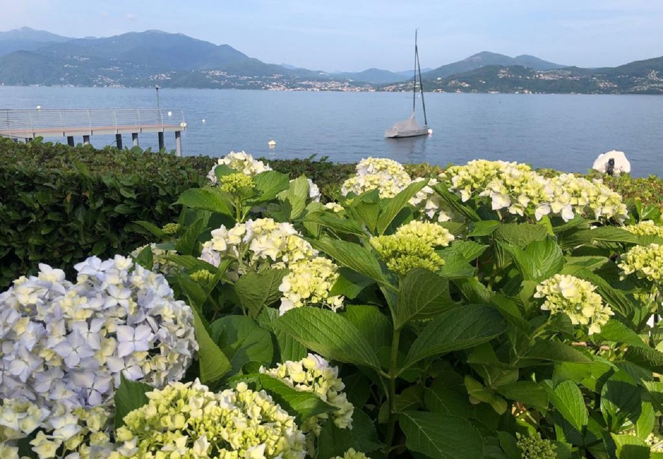 Appartement à Oggebbio - Inaya apartment in Oggebbio with pool