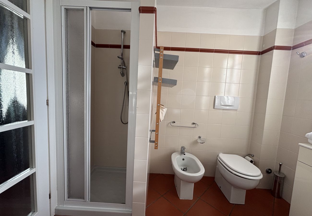 Apartment in Luino - Esther 2 apartment with balcony in Luino