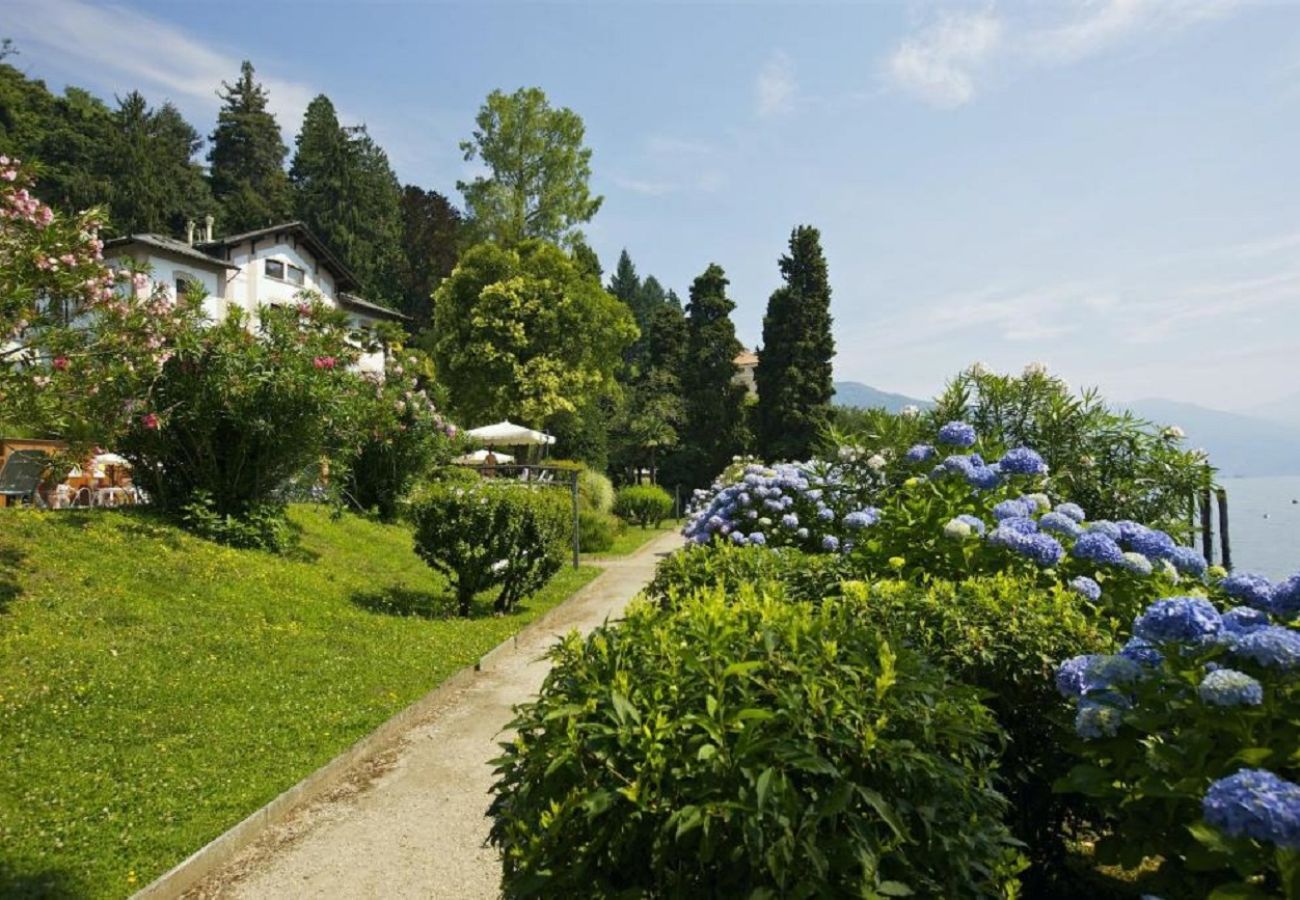 Apartment in Oggebbio - Inaya apartment in Oggebbio with pool